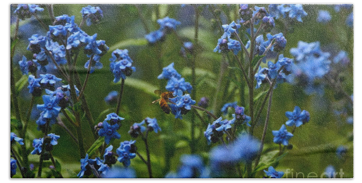 Chinese Forget Me Nots And Honey Bee Beach Towel featuring the photograph Chinese Forget Me Nots and Honey Bee by Byron Varvarigos