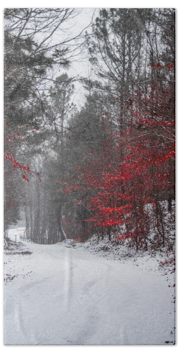Red Blossoms Beach Towel featuring the photograph Christmas is Coming by Parker Cunningham