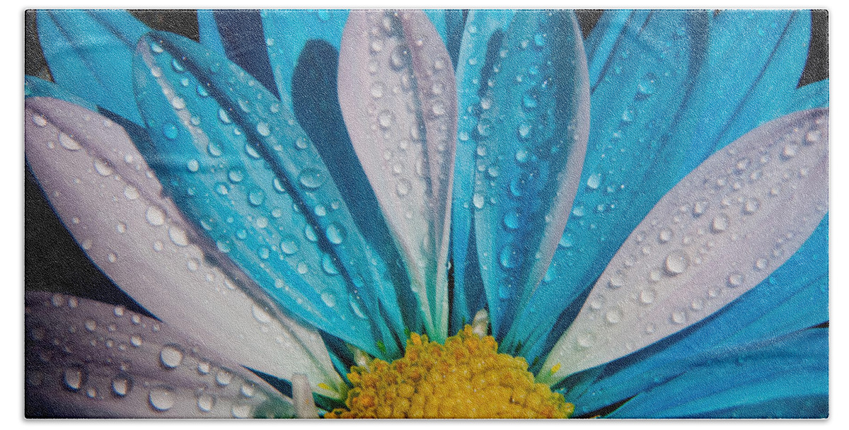 Photography Beach Towel featuring the photograph Chrysanthemum by Vanessa Thomas