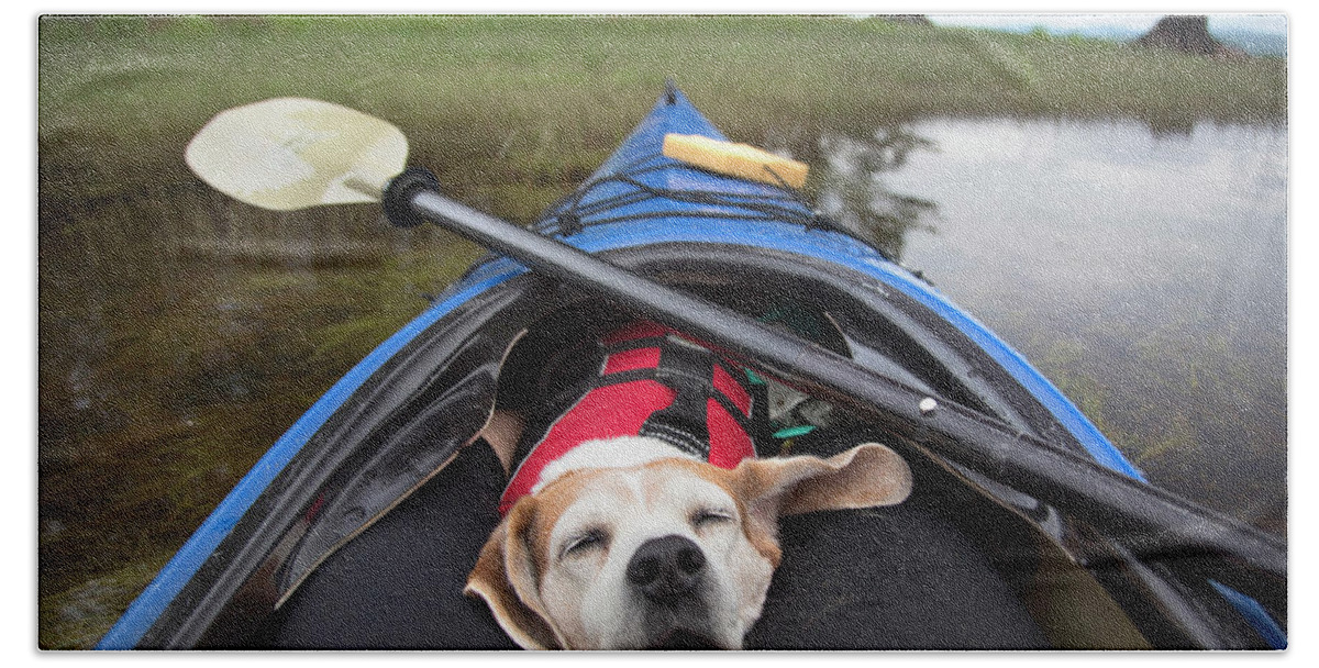 Close-up Of Dog Relaxing In Kayak Beach Towel by Natasha Shapiro