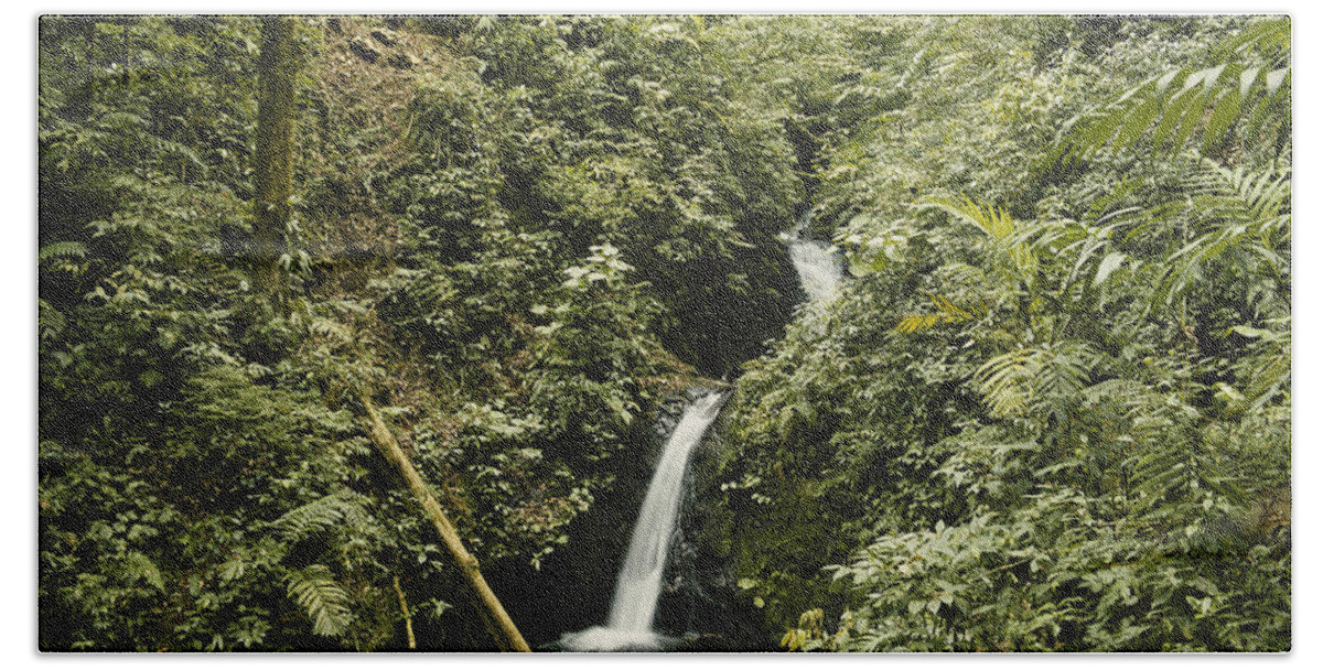 Waterfall Beach Towel featuring the photograph Cloud Forest Waterfall by Gregory G. Dimijian, M.D.