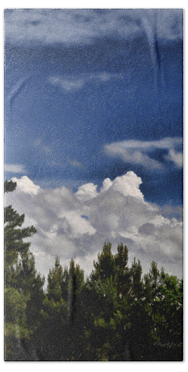 Popular Beach Towel featuring the photograph Clouds Like Mountains Behind The Pines by Paulette B Wright