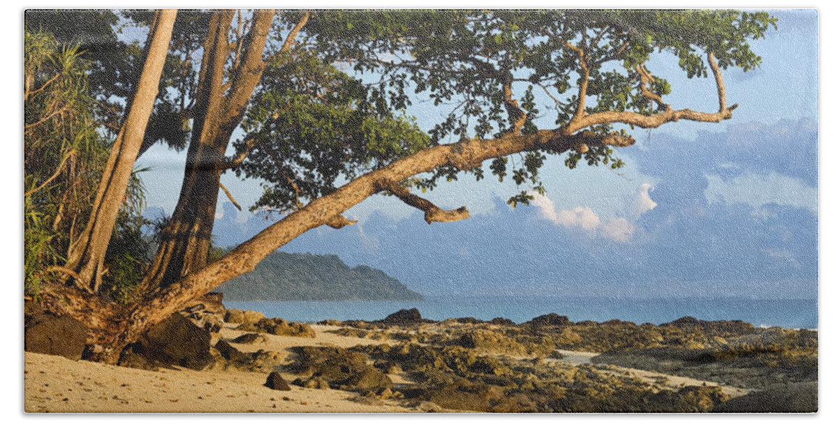 Feb0514 Beach Towel featuring the photograph Coastal Rainforest Havelock Isl India by Konrad Wothe