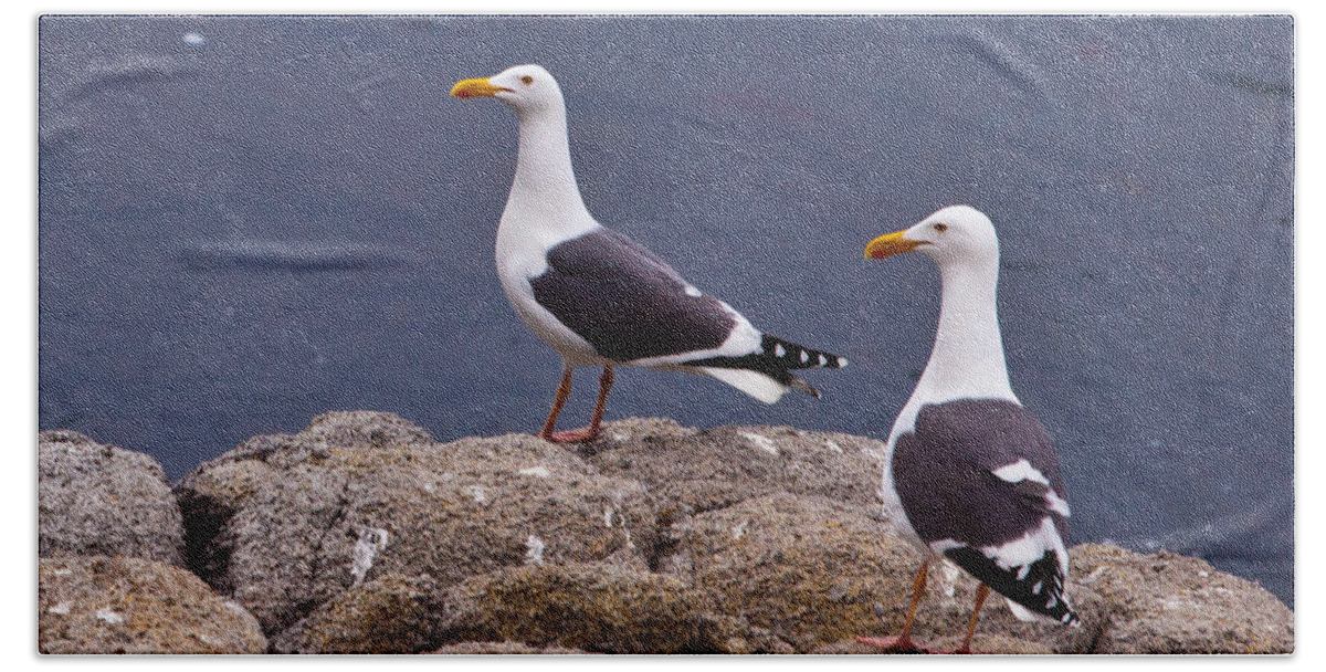 Couple Beach Sheet featuring the photograph Coastal Seagulls by Melinda Ledsome