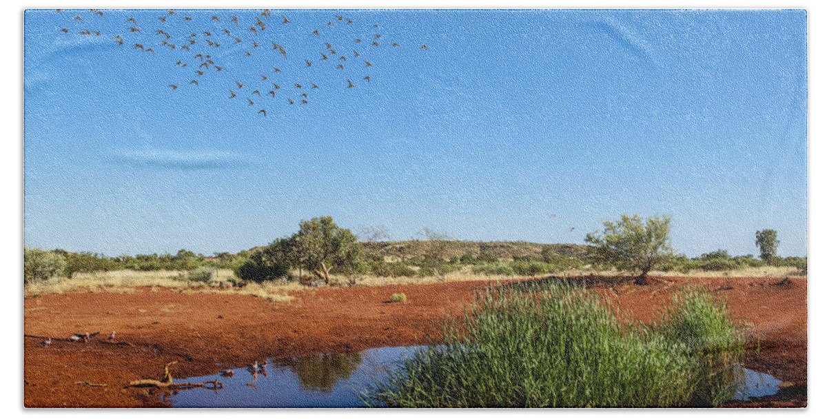 D. Parer E. Parer-cook Beach Towel featuring the photograph Cockatiels Flying To Desert Waterhole by D. Parer & E. Parer-Cook