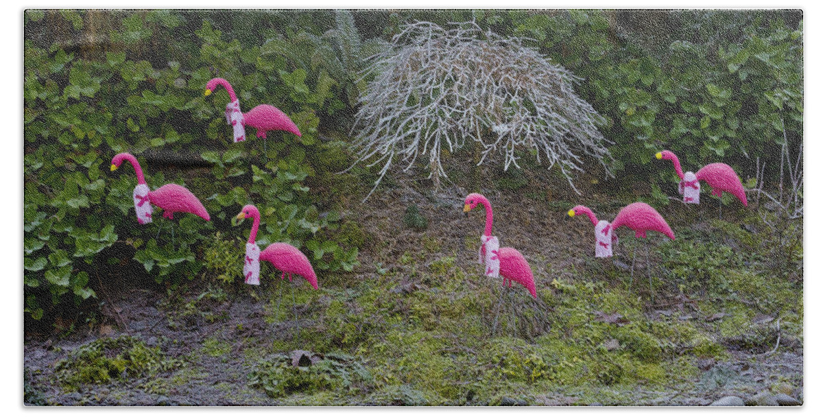 Wall Art Beach Towel featuring the photograph Cold Pink Flamingos by Ron Roberts