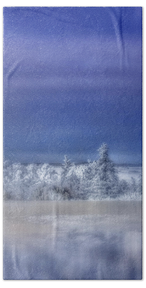 Nature Beach Towel featuring the photograph Cold Winter Day by Ellen Heaverlo
