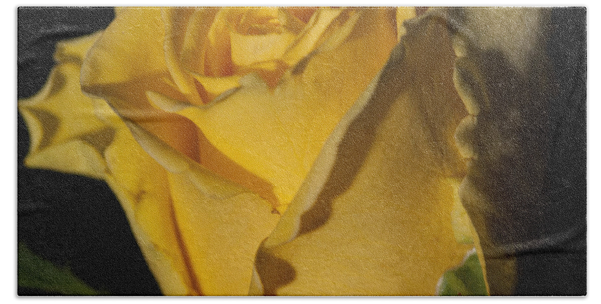 Rose Beach Sheet featuring the photograph Color of Love by Miguel Winterpacht