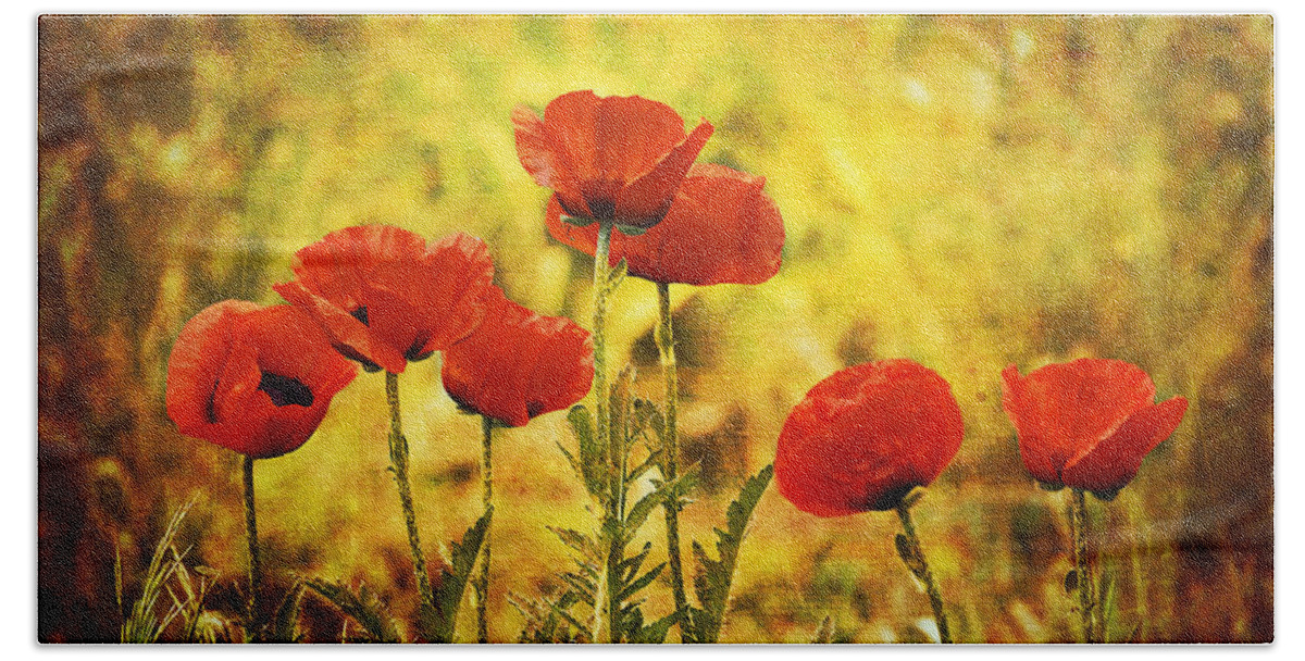 Red Beach Towel featuring the photograph Colorado Poppies by Tammy Wetzel