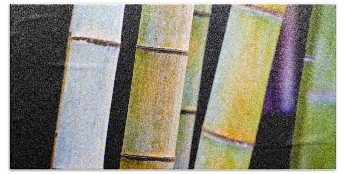 Bamboo Beach Towel featuring the photograph Colorful Bamboo by Bill Brennan - Printscapes