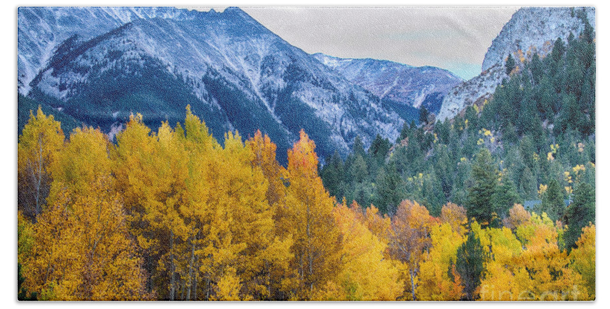 Autumn Beach Towel featuring the photograph Colorful Crested Butte Colorado by James BO Insogna