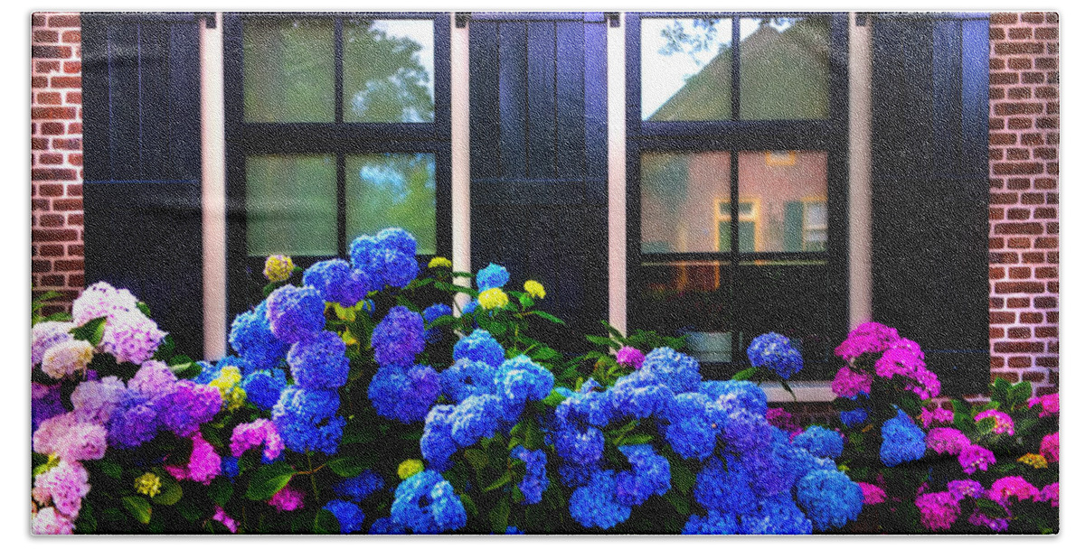 Netherlands Beach Towel featuring the photograph Colorful Hydrangea at the Windows. Giethoorn. Netherlands by Jenny Rainbow