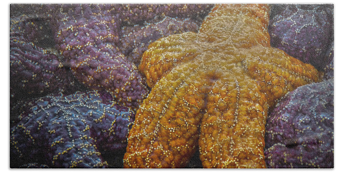 Beach Beach Sheet featuring the photograph Colorful Starfish by Penny Lisowski