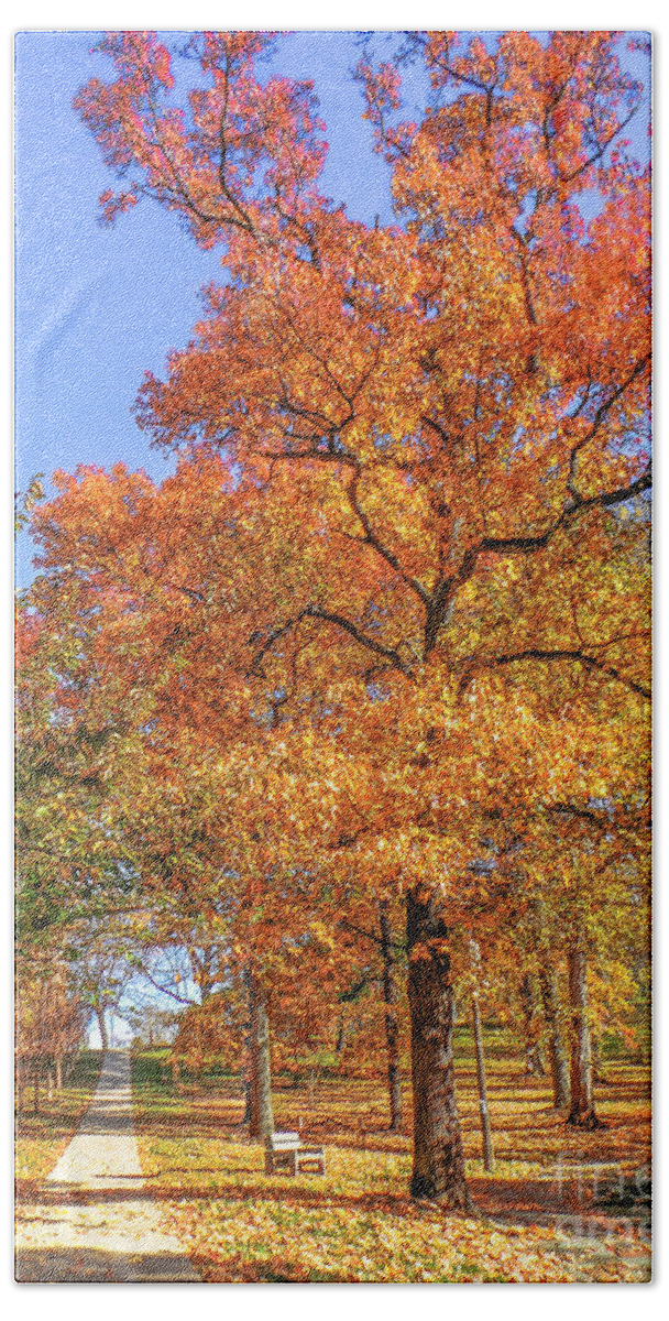 Autumn Leaves Beach Towel featuring the photograph Colors of Fall by Charlie Cliques