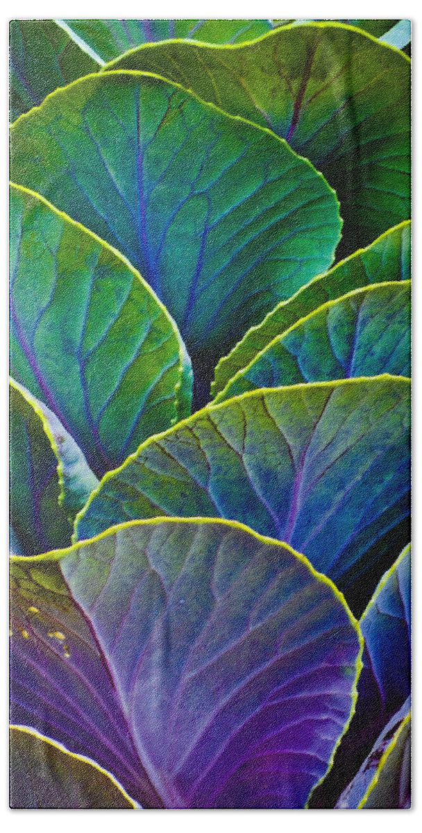 Organic Beach Towel featuring the photograph Colors of the Cabbage Patch by Christi Kraft