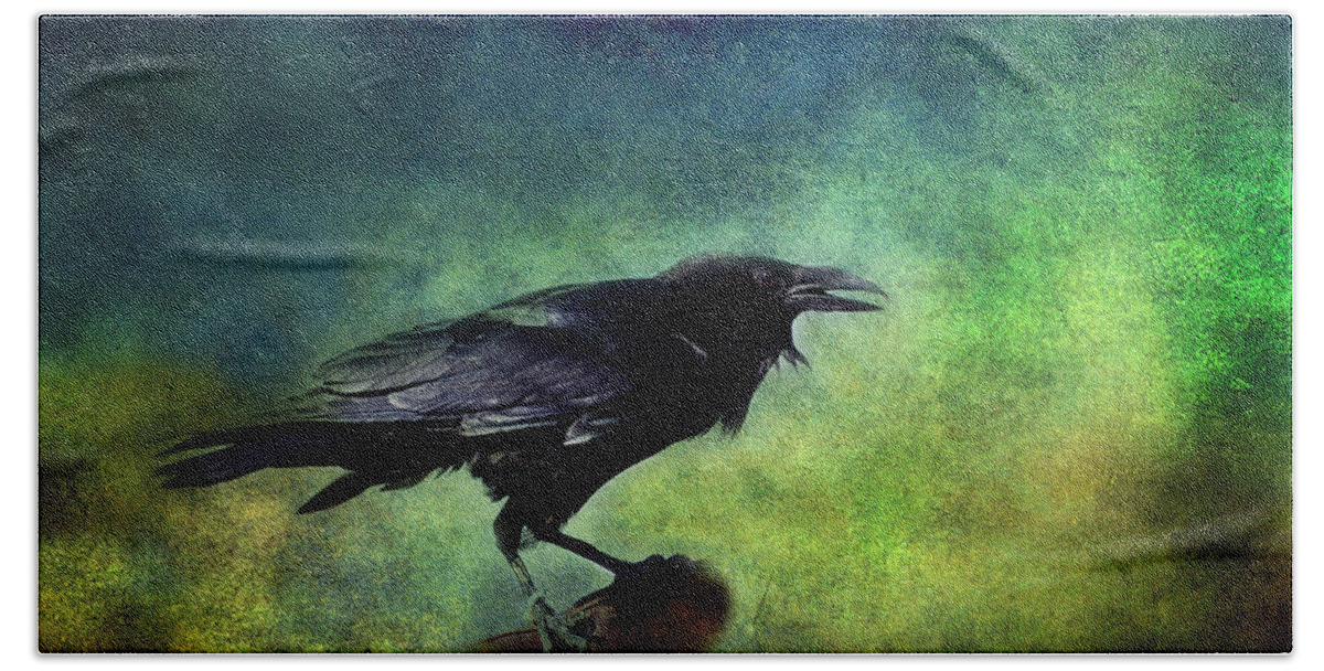 Ravens Beach Towel featuring the photograph Common Raven by Barbara Manis