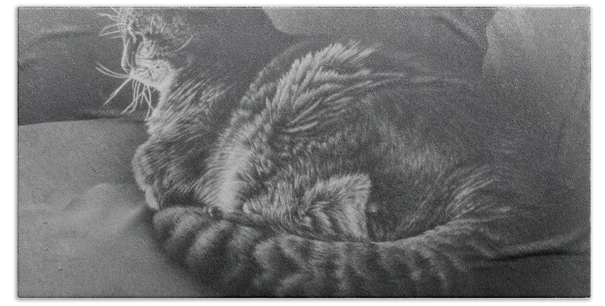 Cat Beach Towel featuring the drawing Contentment by Pamela Clements