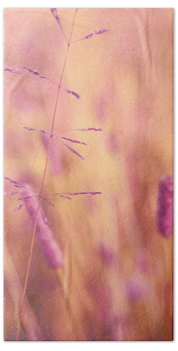 Pink Beach Towel featuring the photograph Contrario - p01 by Variance Collections