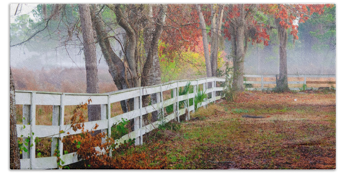 Fall Beach Towel featuring the photograph Coosaw Horse Fence by Scott Hansen