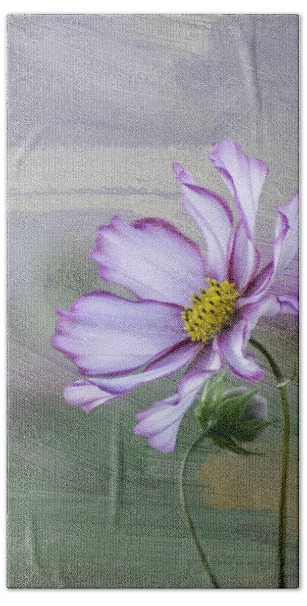 Cosmo Beach Towel featuring the photograph Cosmo of the Garden by Kristal Kraft
