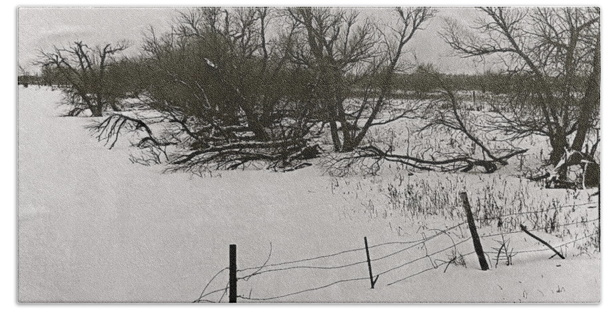 Countryside Fence Trees Near Aberdeen South Dakota 1965 Black And White Beach Towel featuring the photograph Countryside fence trees near Aberdeen South Dakota 1965 black and white by David Lee Guss