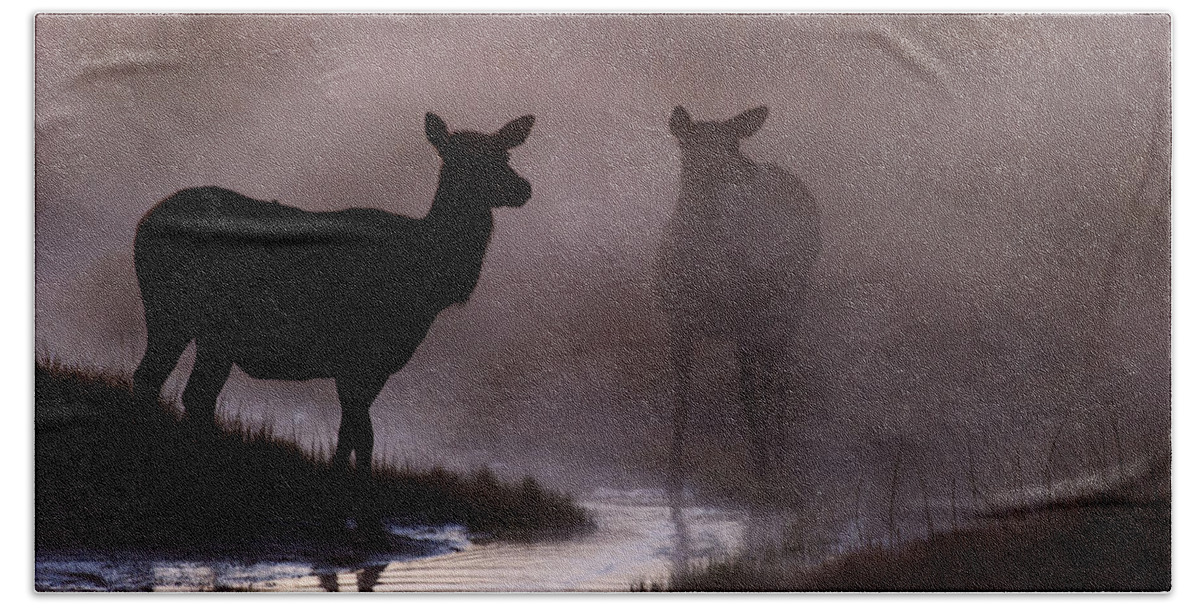 Cow Beach Towel featuring the photograph Cow elk in the Morning Mist by Gary Langley