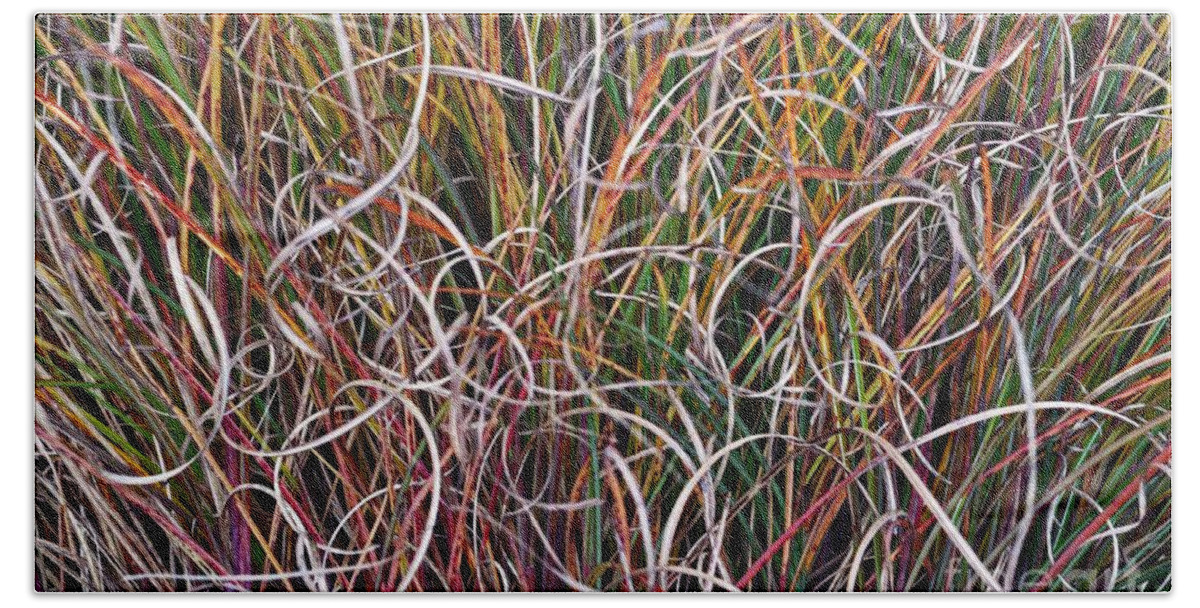 Grasses Beach Towel featuring the photograph Crazy Grasses by Judy Wolinsky
