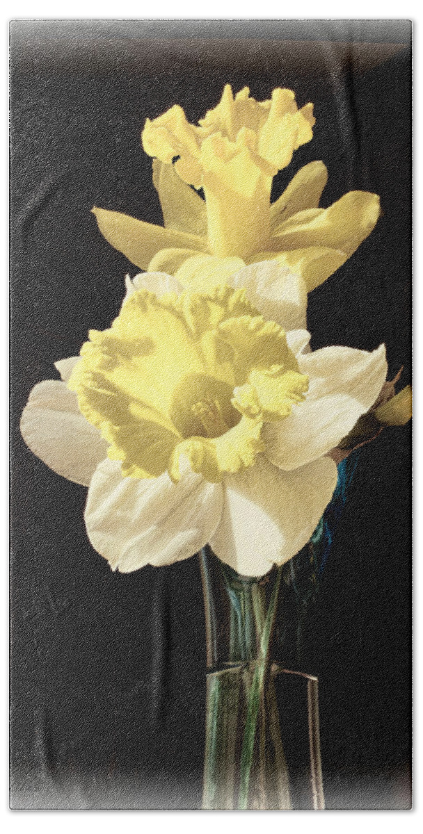 Daffodils Beach Towel featuring the photograph Daffodils by Bonnie Willis