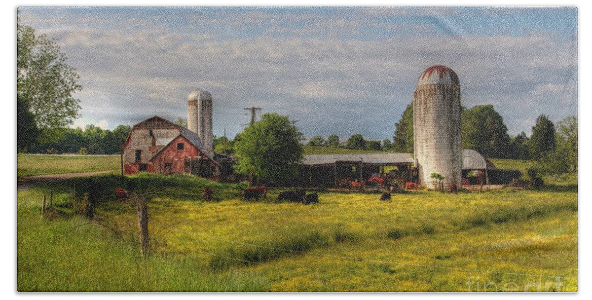 Farm Beach Sheet featuring the photograph Dairy Land by Benanne Stiens