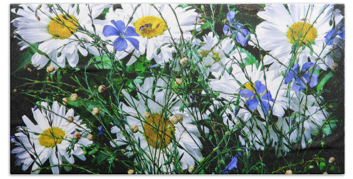 Flowers Beach Towel featuring the photograph Daisies with Blue Flax and Bee by Roselynne Broussard