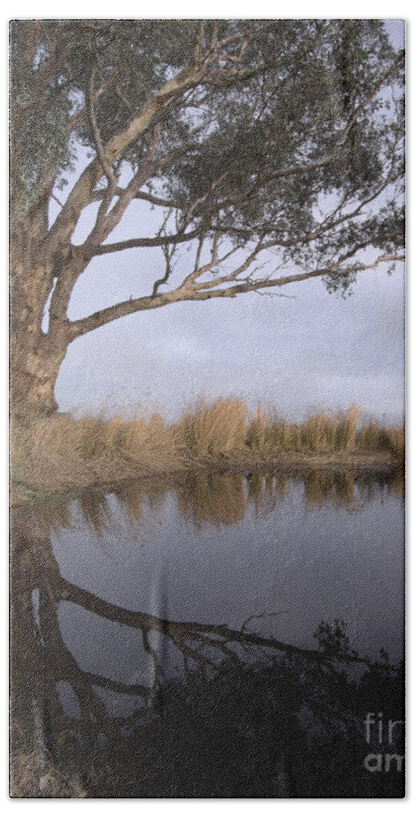 Eucalyptus Beach Towel featuring the photograph Dam by Linda Lees