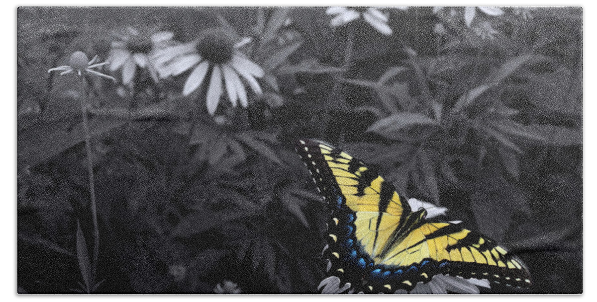 Butterfly Yellow Swallowtail Beach Towel featuring the photograph Dance in the Garden by Don Spenner