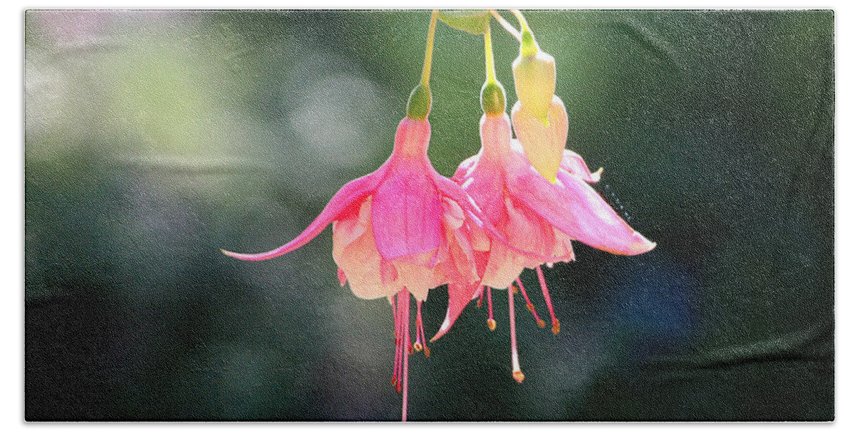 Fuchsia Beach Towel featuring the photograph Dancing in the Wind by Mariarosa Rockefeller