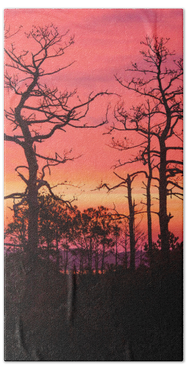 Trees Beach Sheet featuring the photograph Dancing Trees Into The Fire by Paula OMalley