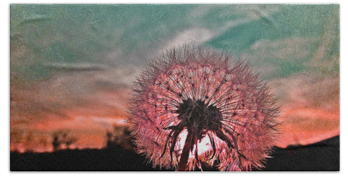 Dandelion Beach Towel featuring the photograph Dandelion at Sunset by Marianna Mills