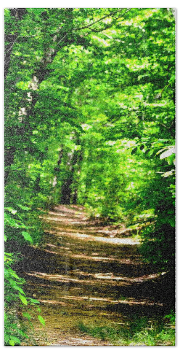 Dappled Sunlit Path In The Forest Beach Towel featuring the photograph Dappled Sunlit Path in the Forest by Maria Urso