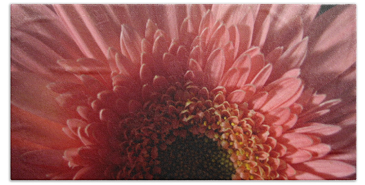 Flower Beach Sheet featuring the photograph Dark Radiance by Ann Horn