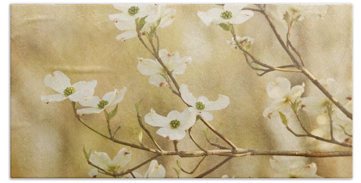 White Flower Beach Towel featuring the photograph Days of Dogwoods by Kim Hojnacki