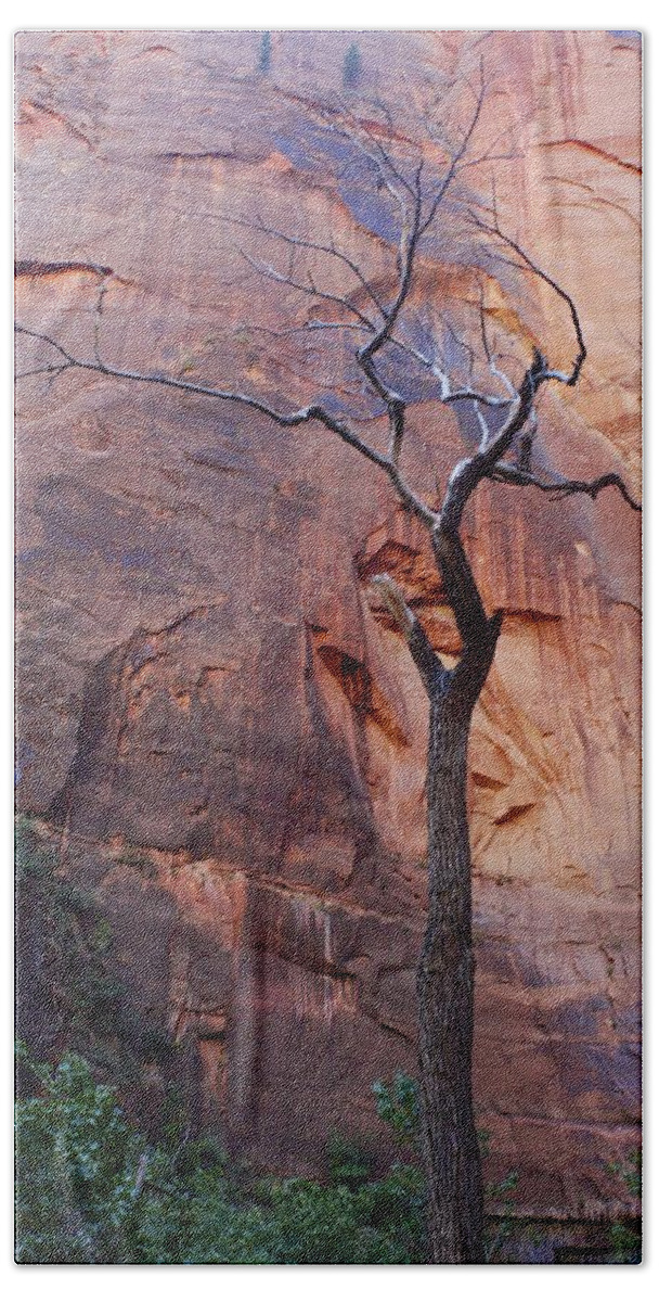 Zion National Beach Towel featuring the photograph Dead Tree in Zion by Stuart Litoff