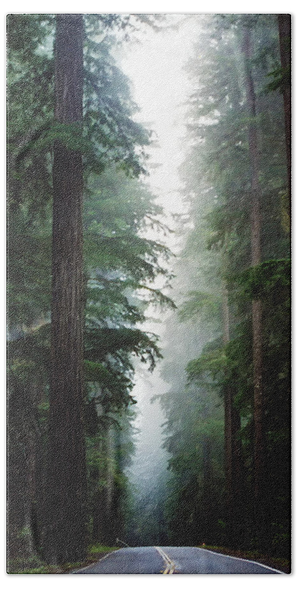 Forest Beach Sheet featuring the photograph Deep in the Forest by Debby Richards