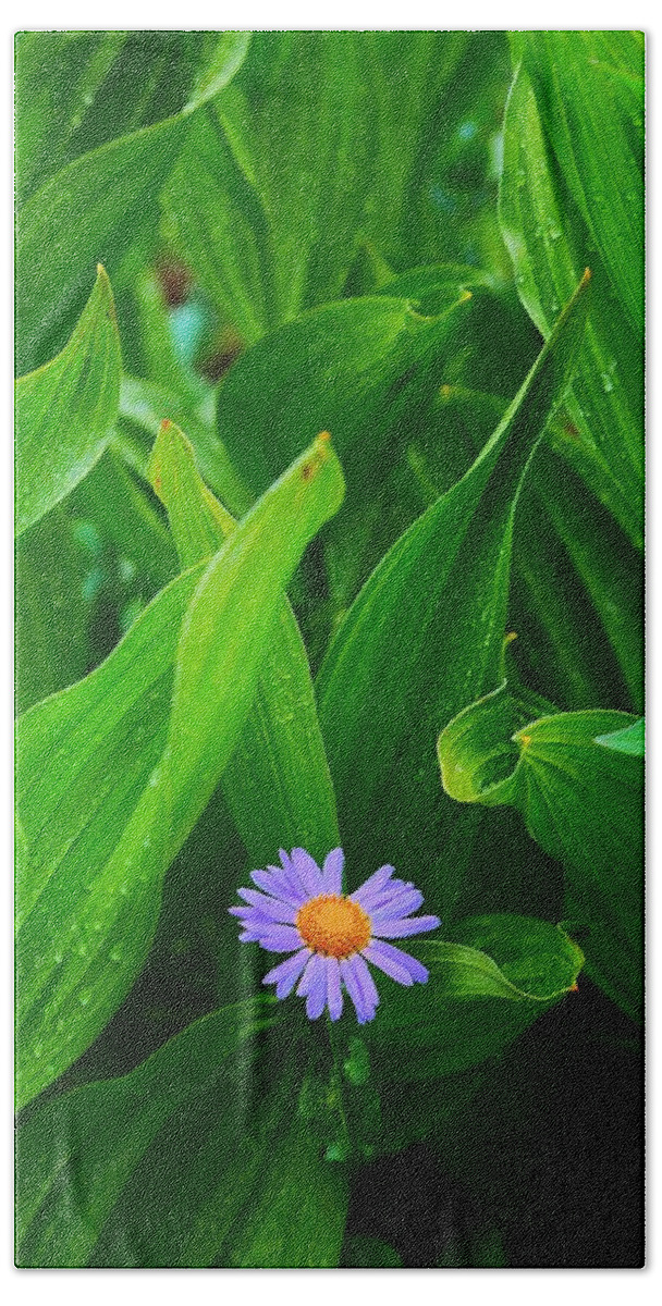Wildflower Beach Towel featuring the photograph Deep in the Green by David Andersen