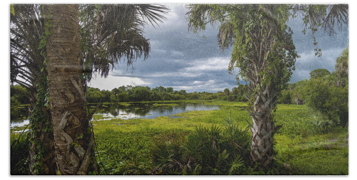 Palm Trees Beach Towel featuring the photograph Deer Prairie Creek by Russ Burch