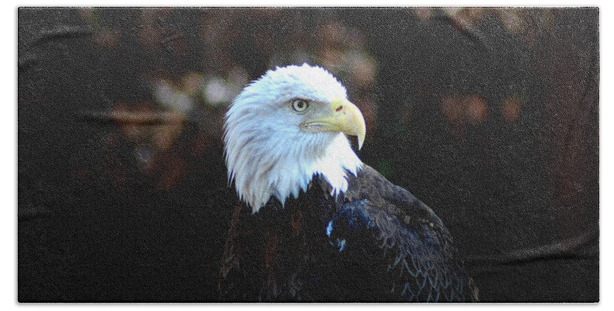 Eagle Beach Towel featuring the photograph Determined by David Weeks