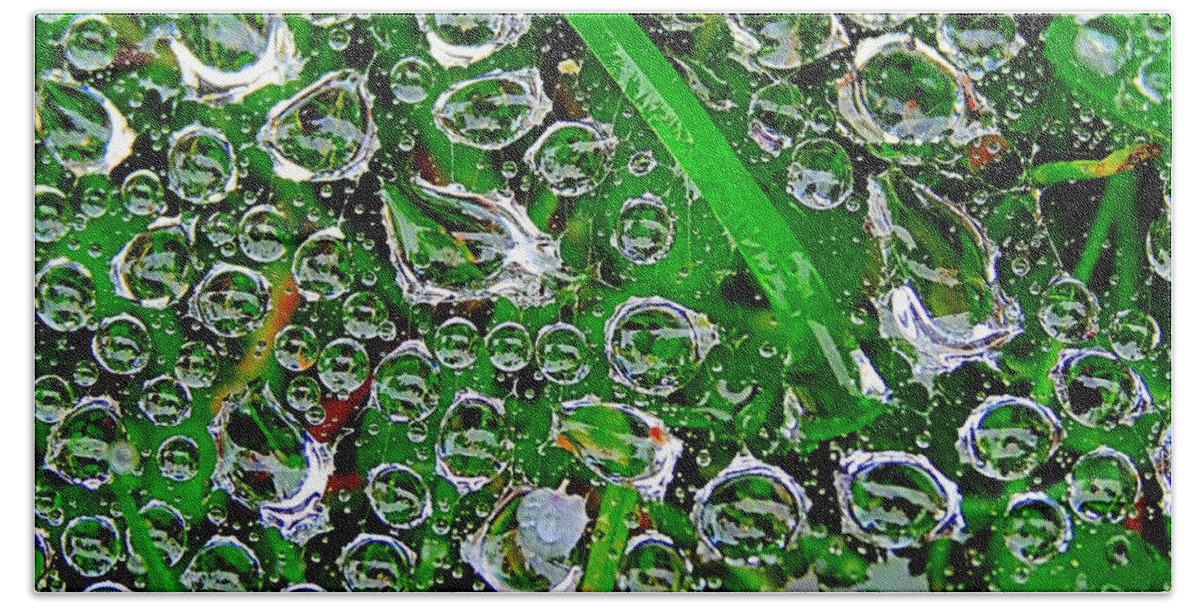 Dew Beach Sheet featuring the photograph Dew Beads by Nick Kloepping