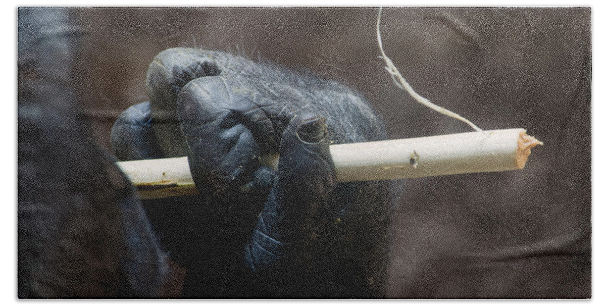Gorilla Hand Beach Towel featuring the photograph Dexterity by Rebecca Sherman