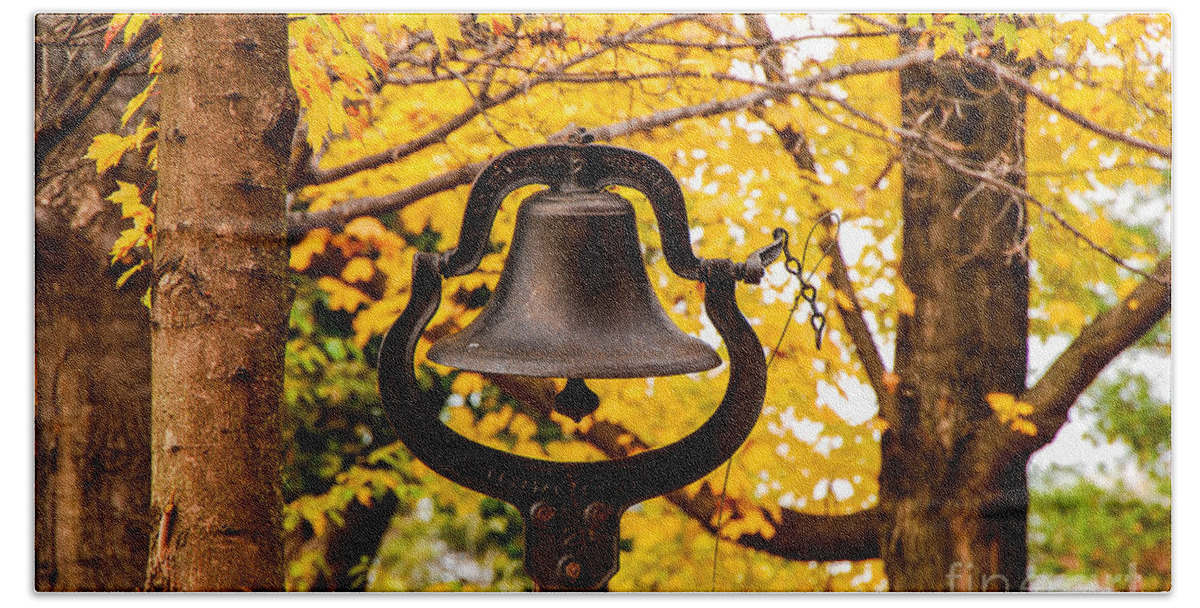 Old Beach Towel featuring the photograph Dinner Bell by Mary Carol Story