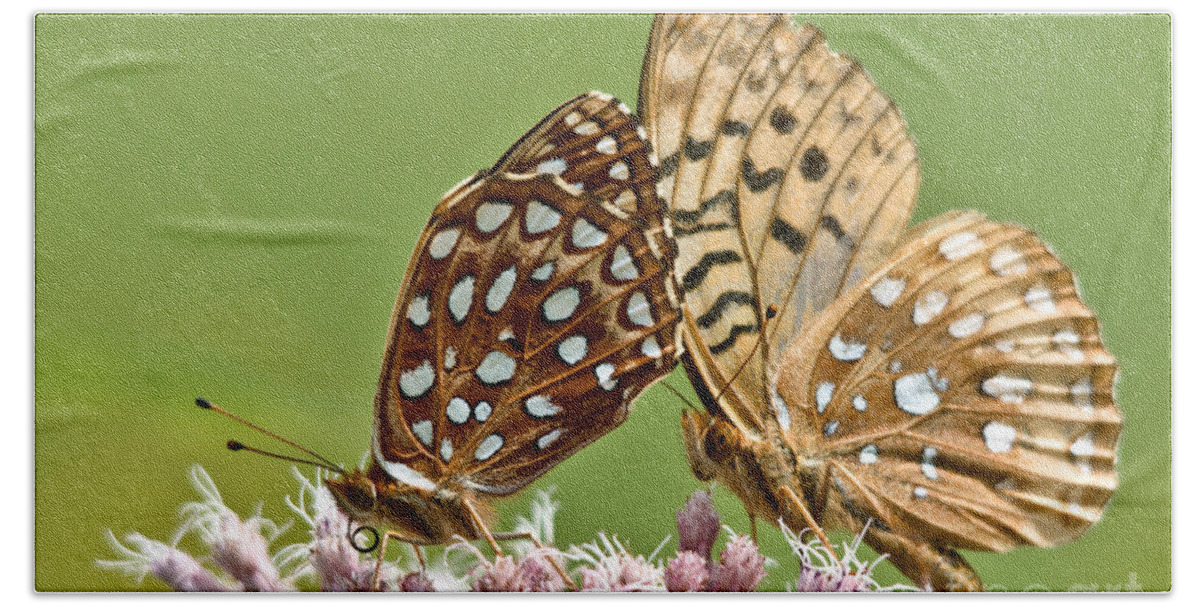 Butterflies Beach Towel featuring the photograph Dinner for Two by Cheryl Baxter
