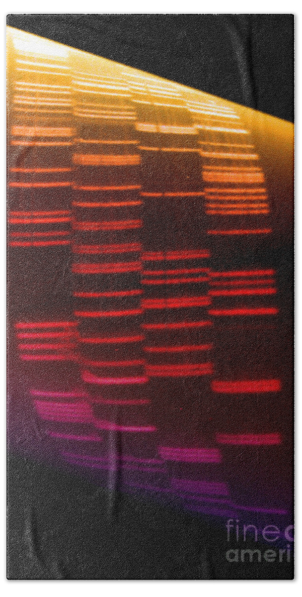 Dna Beach Towel featuring the photograph Dna Sequence by Scott Camazine