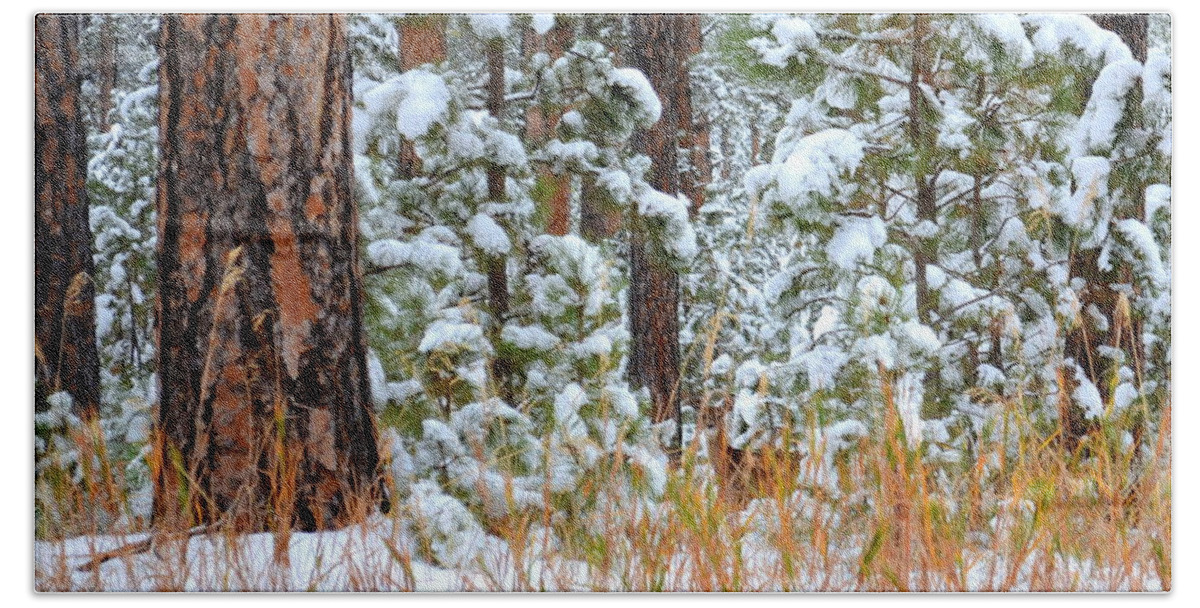 Pine Trees Beach Sheet featuring the photograph Do You See Me by Clarice Lakota