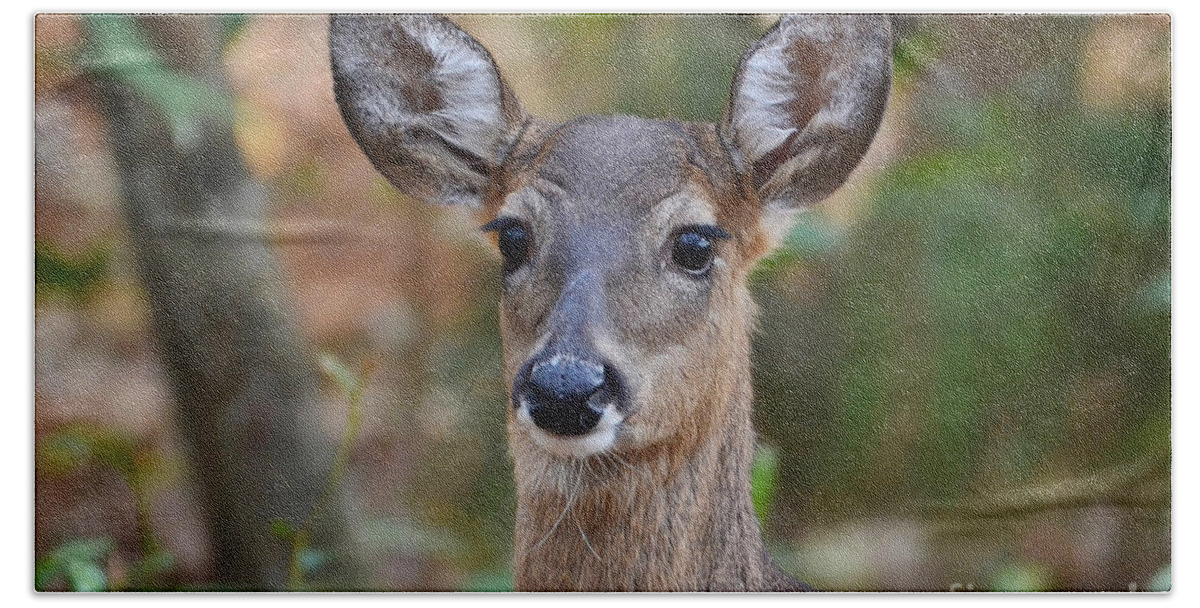 Deer Beach Towel featuring the photograph Doe Portrait by Kathy Baccari